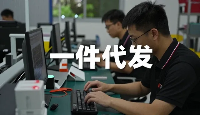 批发零售一件代发电子商务:从入门到明白